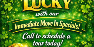 The Shore Gallery 29