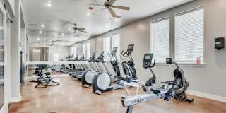 The Erica Gallery 12