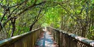 530 N 7th Place Gallery 30