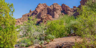 Stunning 7BR House in Camelback Canyon Gallery 86