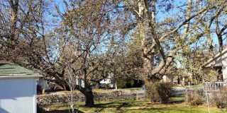 Historic Home In Downtown Bountiful - 4 Bed 3 Bath Gallery 1