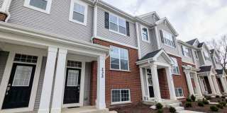 232 Timberleaf Circle Gallery 1