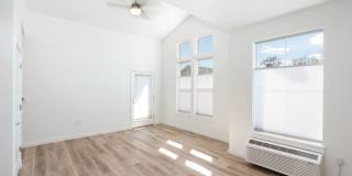 Red Hawk and Laurel Grey Gallery 9