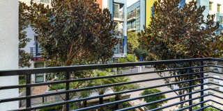 Vista 99 Apartments Vista 99 Apartments Gallery 28