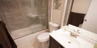 Renovated 2/2 in quite 55+ community Gallery 15