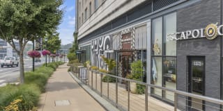 Halpine View Gallery 35