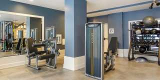 Avalon Bellevue Gallery 22