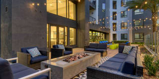 The Lex The Lex Gallery 42