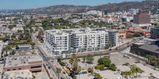 Ovelo Hollywood Gallery 29