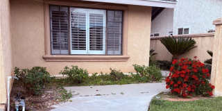 4437 Lubbock 4437 Lubbock Gallery 1