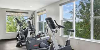 Alinea at Town and Country Gallery 39