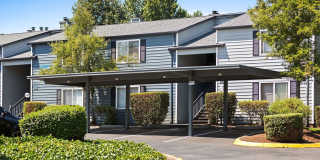 Avana Star Lake Gallery 100