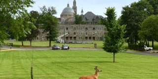 4300 10th St Ne Gallery 22