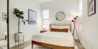 2693 paragon Loop Gallery 6