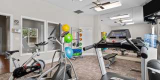 Southgate Glen Gallery 19