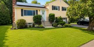 51 White Terrace Gallery 2