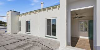 Palm Court Gallery 16