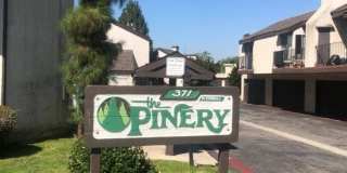 Pinery Gallery 29