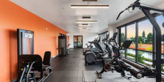 Solera Apartments Gallery 16