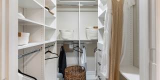 The Preserve Cypress Hammock Gallery 32