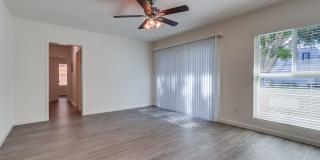 Premier Apartment Complex Near Hollywood Park with Pool, Gym and Covered Parking! Gallery 18