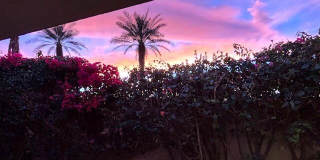 75114 Concho Drive Gallery 57