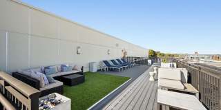 The Washingtons Gallery 11