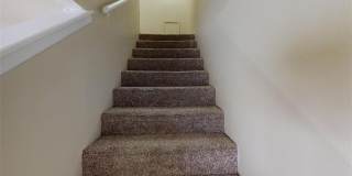 1809 Treehouse Trail Gallery 12