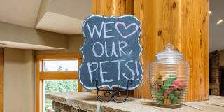 Boulder Creek Gallery 21