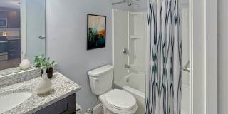 Winchester Arms Gallery 7