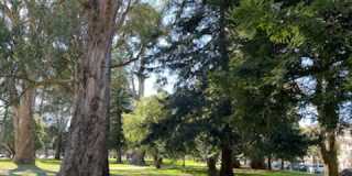 1700 Page Street Gallery 20