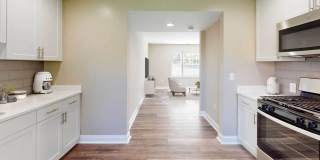 Rodgers Forge Gallery 2