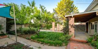 Classic Stamm Home in Casa Alegre Gallery 8