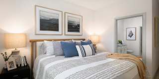 Livano Wildwood Gallery 6