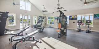 Palm Grove Gallery 6