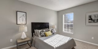 Elements of Madison Gallery 6