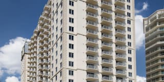 Olympus Harbour Island Gallery 15