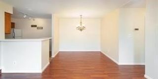 7504 ASHBY Lane Gallery 6