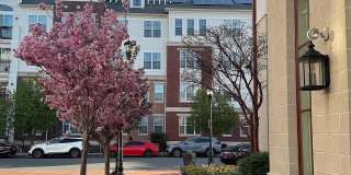 Harbor Pointe Gallery 127