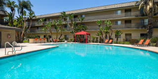 Coronado Palms Gallery 6