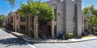 Woods of Elm Creek Gallery 16