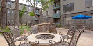 Monte Viejo Gallery 37