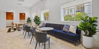 Windsor Coconut Creek Gallery 29