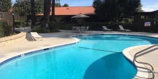 111 W Avenida de los Arboles Gallery 11