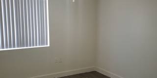 No HOA! North Phoenix 3 Bedroom Home with Large Yard & Garage Gallery 29