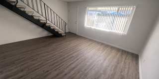 Palmwood Gardens Gallery 11