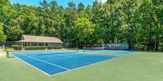 The Forest Gallery 15