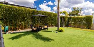 Elon at Winter Park Gallery 19