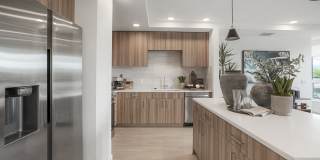 Maxwell at Bascom Maxwell at Bascom Gallery 6