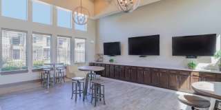 Century Palm Bluff Gallery 15